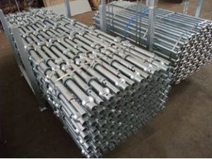 Cuplock Scaffolding Standard/Vertical with Top Quality