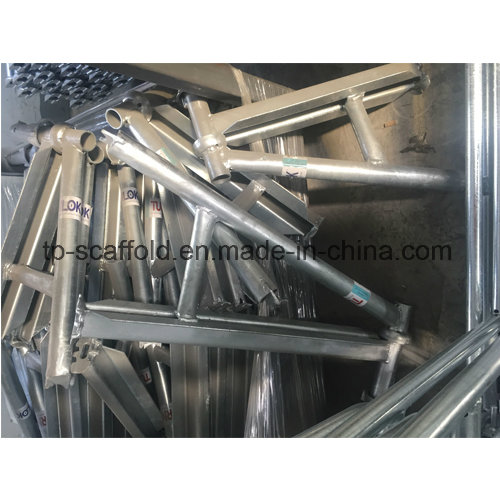 Steel Galvanized Cuplock Scaffold Transom (TPCSOT001)