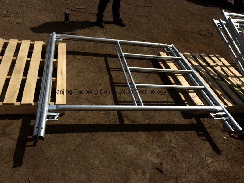 5ftx5FT Ladder Frame Scaffolding Set for Sale
